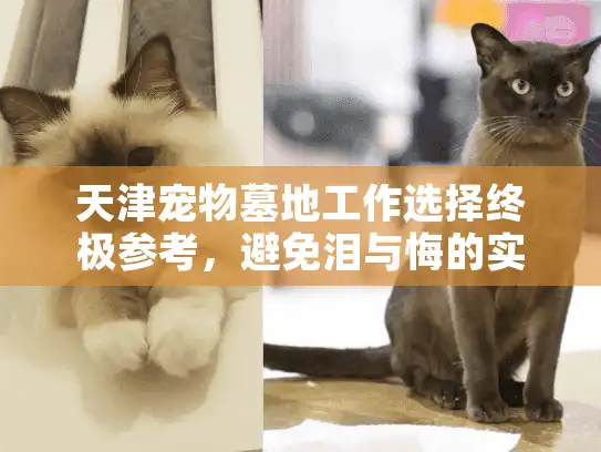 天津宠物墓地工作选择终极参考，避免泪与悔的实操方案