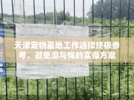 天津宠物墓地工作选择终极参考，避免泪与悔的实操方案