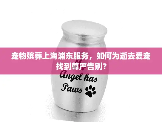 宠物殡葬上海浦东服务，如何为逝去爱宠找到尊严告别？