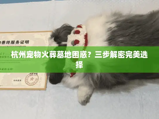 杭州宠物火葬墓地困惑？三步解密完美选择