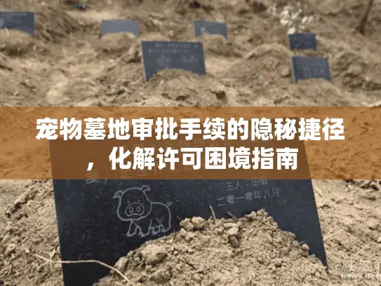 宠物墓地审批手续的隐秘捷径，化解许可困境指南