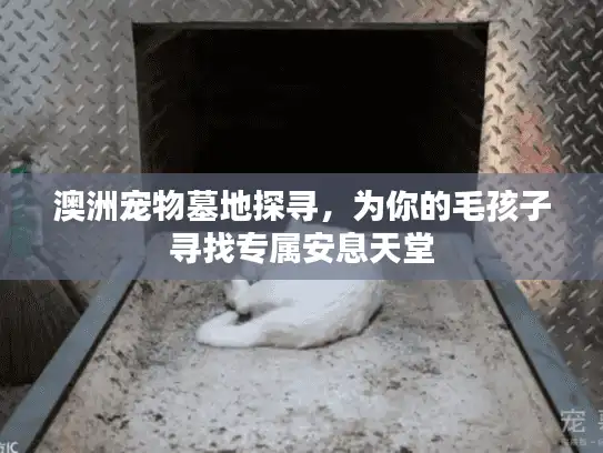 澳洲宠物墓地探寻，为你的毛孩子寻找专属安息天堂