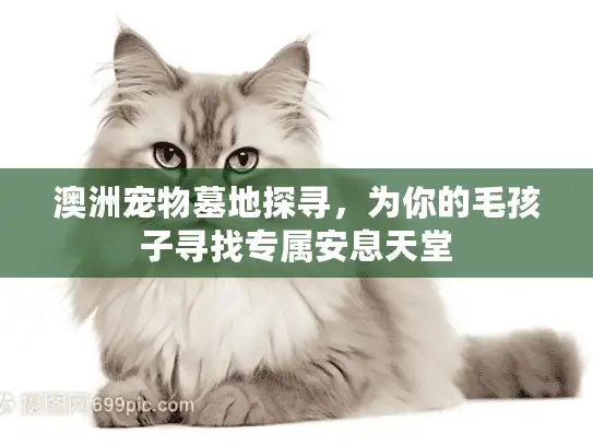澳洲宠物墓地探寻，为你的毛孩子寻找专属安息天堂