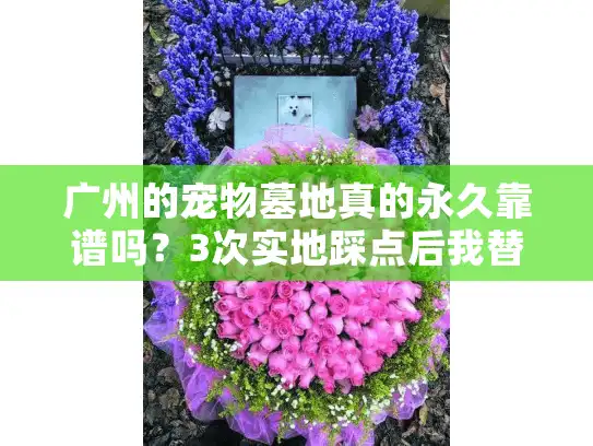 广州的宠物墓地真的永久靠谱吗？3次实地踩点后我替毛孩子选了这里
