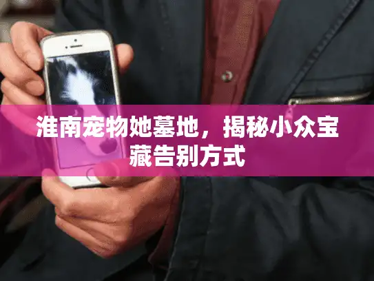 淮南宠物她墓地，揭秘小众宝藏告别方式