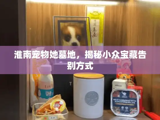 淮南宠物她墓地，揭秘小众宝藏告别方式