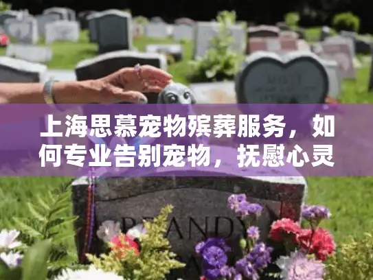 上海思慕宠物殡葬服务，如何专业告别宠物，抚慰心灵的哀伤？