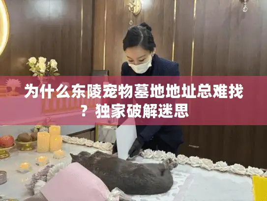 为什么东陵宠物墓地地址总难找？独家破解迷思