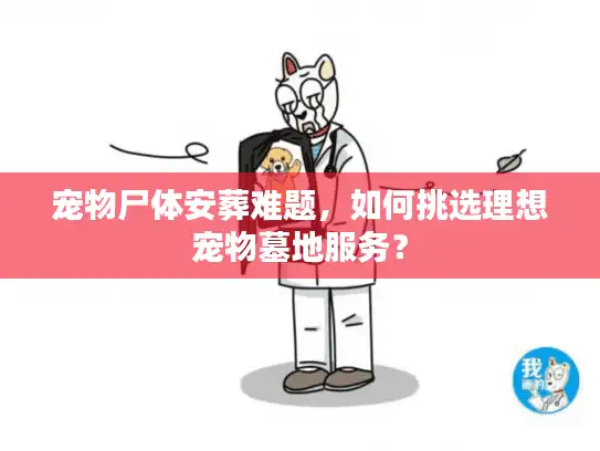 宠物尸体安葬难题，如何挑选理想宠物墓地服务？