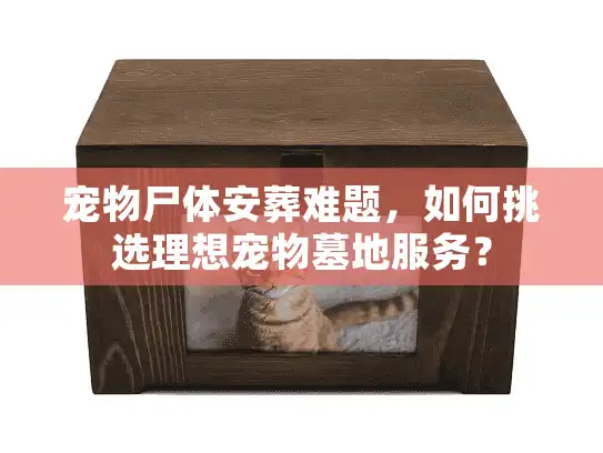 宠物尸体安葬难题，如何挑选理想宠物墓地服务？