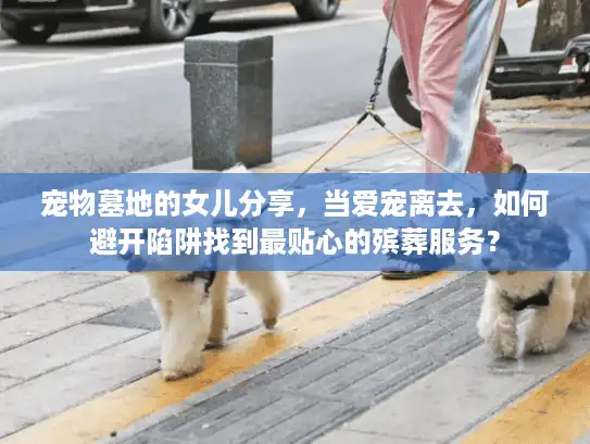 宠物墓地的女儿分享，当爱宠离去，如何避开陷阱找到最贴心的殡葬服务？