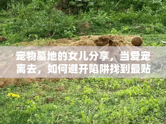 宠物墓地的女儿分享，当爱宠离去，如何避开陷阱找到最贴心的殡葬服务？