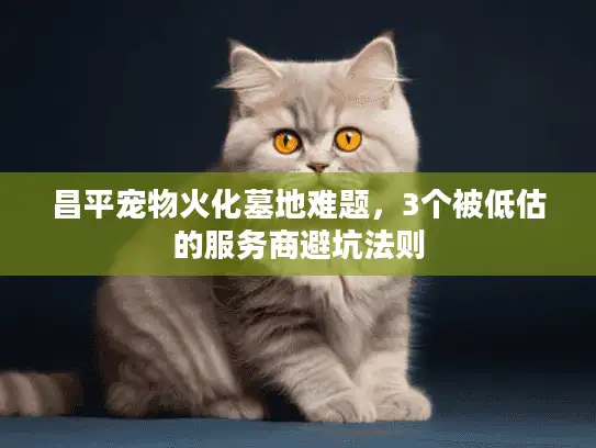 昌平宠物火化墓地难题，3个被低估的服务商避坑法则