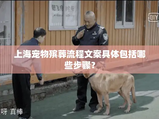 上海宠物殡葬流程文案具体包括哪些步骤？