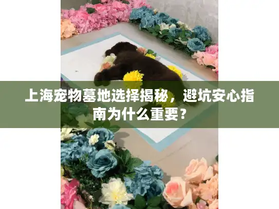 上海宠物墓地选择揭秘，避坑安心指南为什么重要？