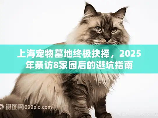 上海宠物墓地终极抉择，2025年亲访8家园后的避坑指南