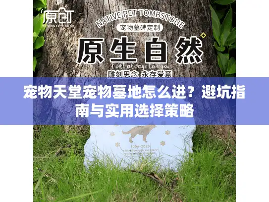 宠物天堂宠物墓地怎么进？避坑指南与实用选择策略