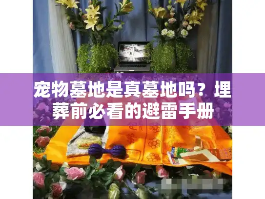 宠物墓地是真墓地吗？埋葬前必看的避雷手册