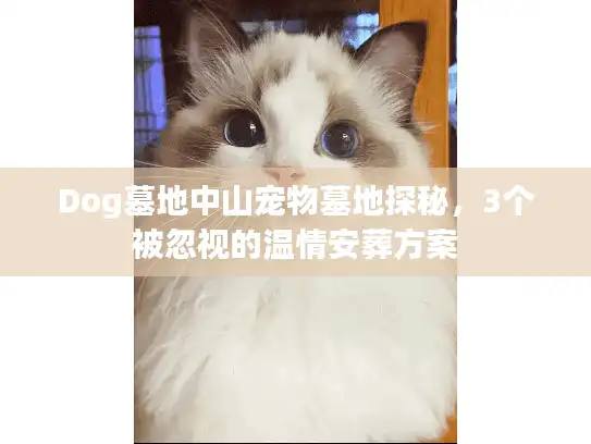 Dog墓地中山宠物墓地探秘，3个被忽视的温情安葬方案