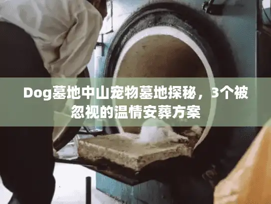 Dog墓地中山宠物墓地探秘，3个被忽视的温情安葬方案