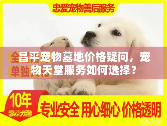 昌平宠物墓地价格疑问，宠物天堂服务如何选择？