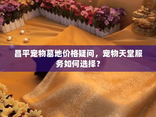 昌平宠物墓地价格疑问，宠物天堂服务如何选择？