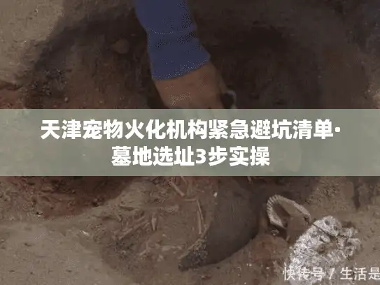天津宠物火化机构紧急避坑清单·墓地选址3步实操