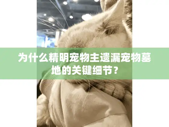 为什么精明宠物主遗漏宠物墓地的关键细节？