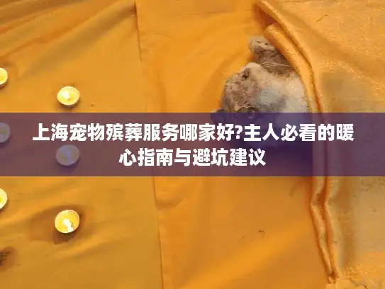 上海宠物殡葬服务哪家好?主人必看的暖心指南与避坑建议