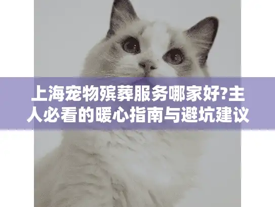上海宠物殡葬服务哪家好?主人必看的暖心指南与避坑建议