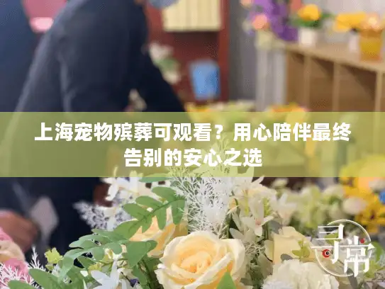 上海宠物殡葬可观看？用心陪伴最终告别的安心之选