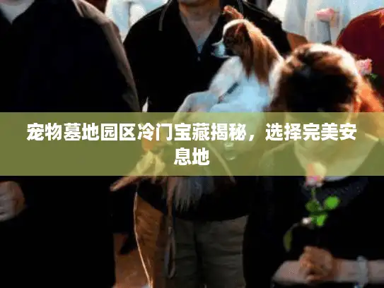 宠物墓地园区冷门宝藏揭秘，选择完美安息地