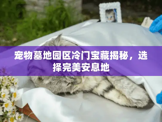 宠物墓地园区冷门宝藏揭秘，选择完美安息地