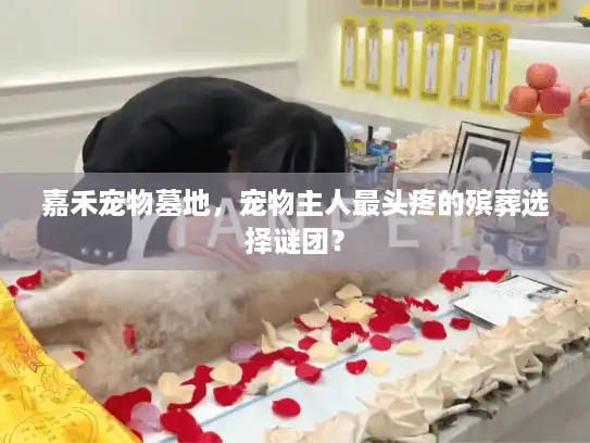 嘉禾宠物墓地，宠物主人最头疼的殡葬选择谜团？