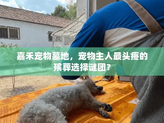 嘉禾宠物墓地，宠物主人最头疼的殡葬选择谜团？