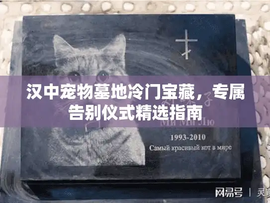 汉中宠物墓地冷门宝藏，专属告别仪式精选指南