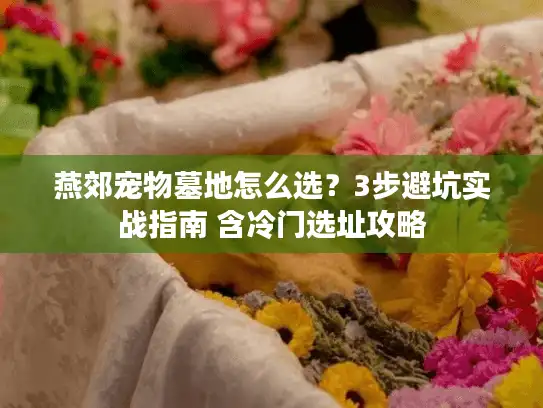 燕郊宠物墓地怎么选？3步避坑实战指南 含冷门选址攻略