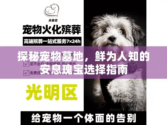 探秘宠物墓地，鲜为人知的安息瑰宝选择指南