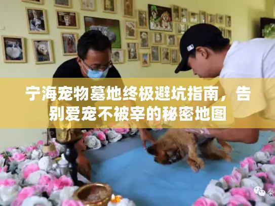 宁海宠物墓地终极避坑指南，告别爱宠不被宰的秘密地图