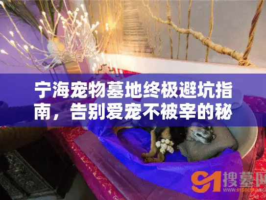 宁海宠物墓地终极避坑指南，告别爱宠不被宰的秘密地图