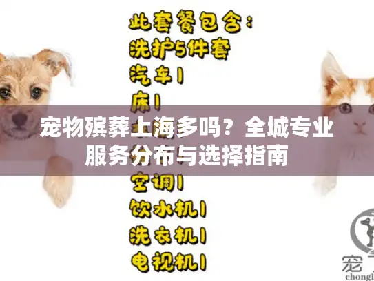 宠物殡葬上海多吗？全城专业服务分布与选择指南