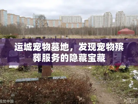 运城宠物墓地，发现宠物殡葬服务的隐藏宝藏