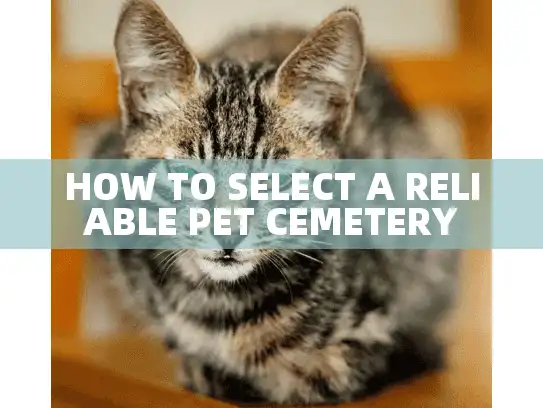 HOW TO SELECT A RELIABLE PET CEMETERY