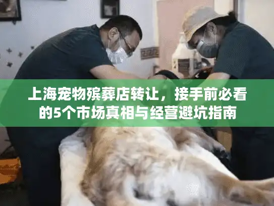 上海宠物殡葬店转让，接手前必看的5个市场真相与经营避坑指南