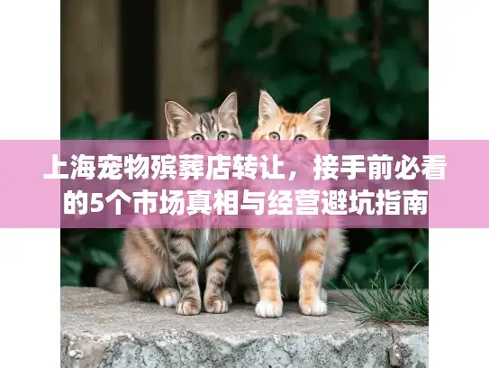 上海宠物殡葬店转让，接手前必看的5个市场真相与经营避坑指南
