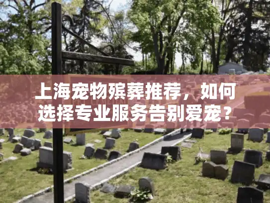 上海宠物殡葬推荐，如何选择专业服务告别爱宠？