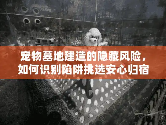 宠物墓地建造的隐藏风险，如何识别陷阱挑选安心归宿？