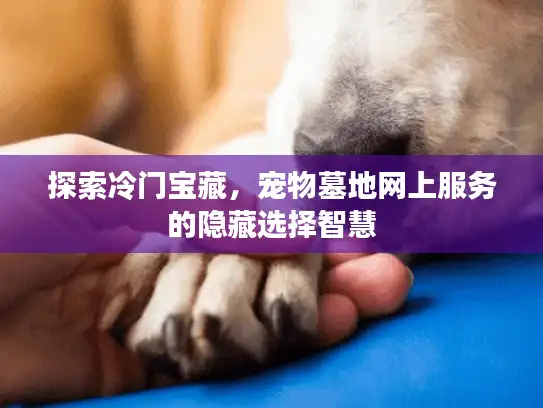 探索冷门宝藏，宠物墓地网上服务的隐藏选择智慧