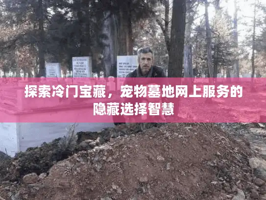 探索冷门宝藏，宠物墓地网上服务的隐藏选择智慧