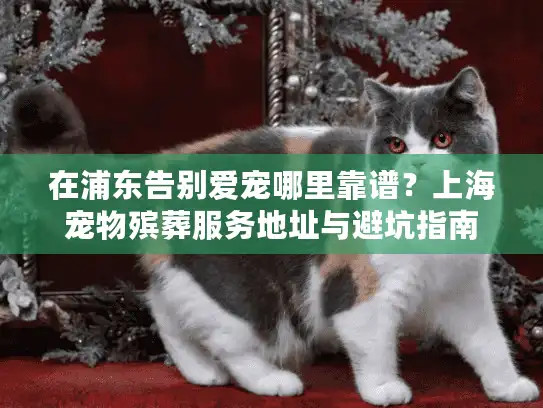 在浦东告别爱宠哪里靠谱？上海宠物殡葬服务地址与避坑指南